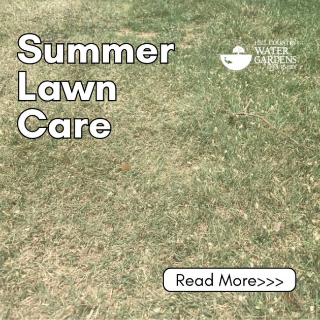 lawn care service texas. cedar park. round rock. georgetown. austin. leander.