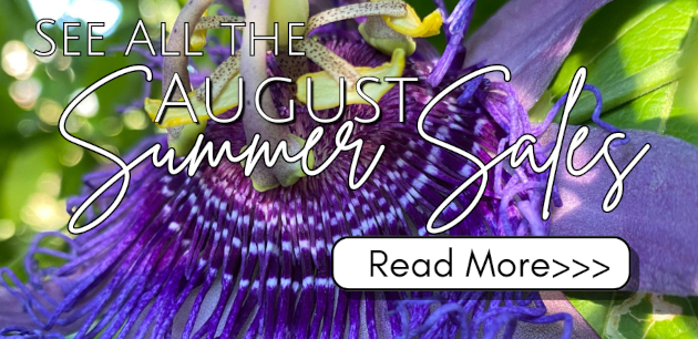 summer sales link 630 x 72