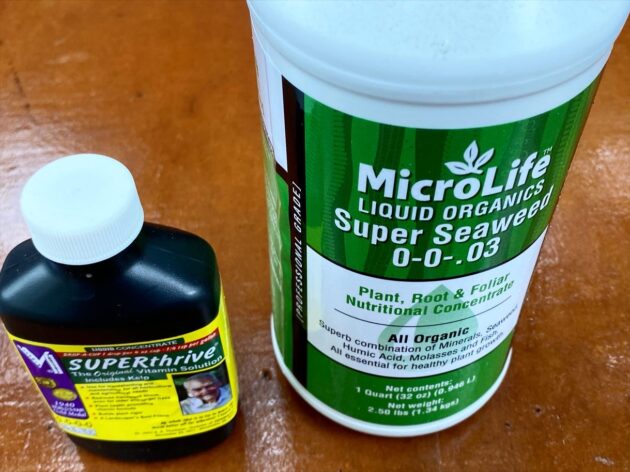 superthrive and super seaweed