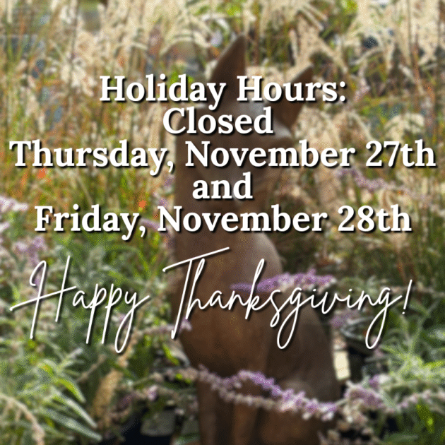 closed for Thanksgiving and black friday, November 27 & 28